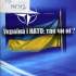 Україна і НАТО: так чи ні? 