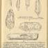 Ілюстрації археологічних артефактів.  Додаток до «Пособия…».