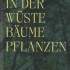 In der Wüste Bäume Pflanzen