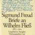 Briefe an Wilhelm Fließ 