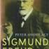Sigmund Freud. Der Arzt der Moderne: eine Biographie 